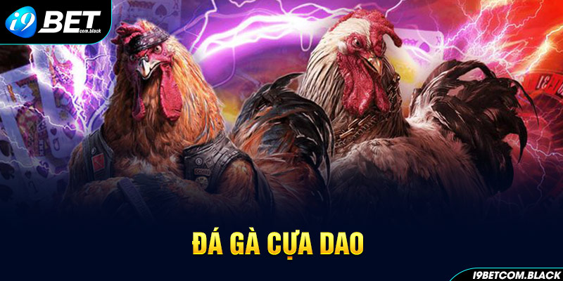 Đá Gà Cựa Dao